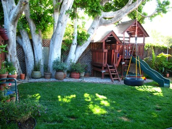 Enlarge photo 39