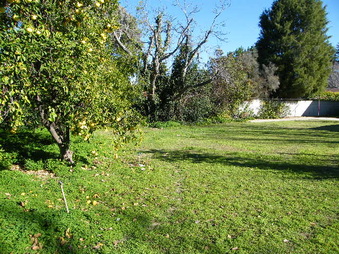 Enlarge photo 19