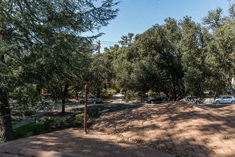 Enlarge photo 37