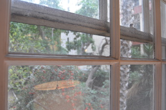 Enlarge photo 13