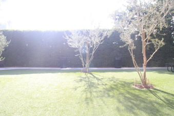 Enlarge photo 8