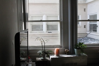 Enlarge photo 16