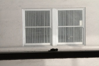 Enlarge photo 41