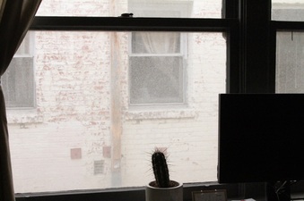Enlarge photo 23