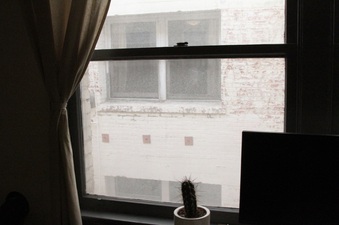 Enlarge photo 33