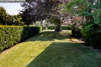 Enlarge photo 23