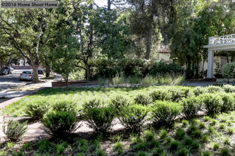 Enlarge photo 19
