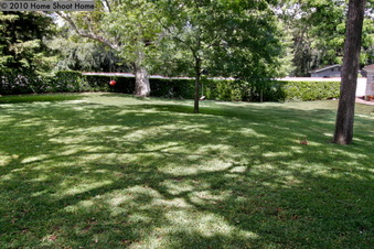 Enlarge photo 73
