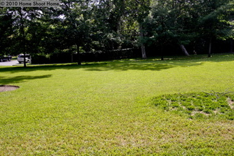 Enlarge photo 10