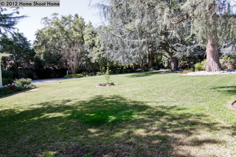 Enlarge photo 68