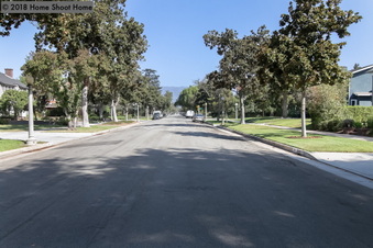 Enlarge photo 62