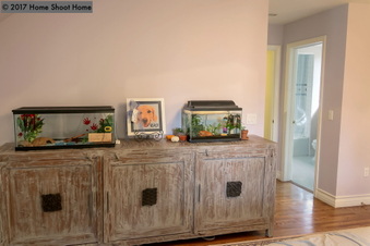 Enlarge photo 50