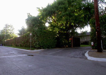 Enlarge photo 31