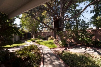 Enlarge photo 52