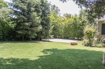 Enlarge photo 31