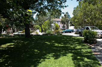 Enlarge photo 35