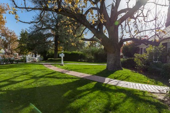 Enlarge photo 3