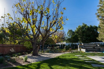 Enlarge photo 46