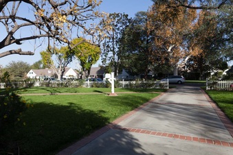Enlarge photo 59