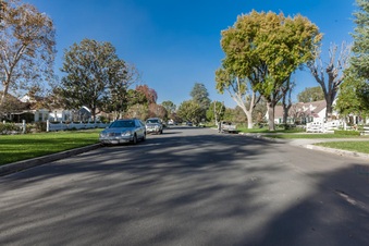 Enlarge photo 62