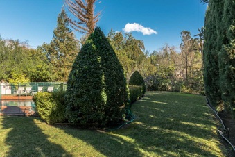 Enlarge photo 44