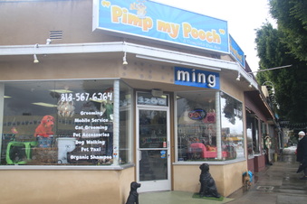 Enlarge photo 30