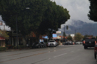 Enlarge photo 61
