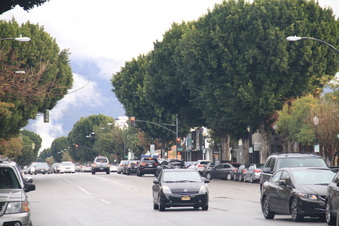 Enlarge photo 63