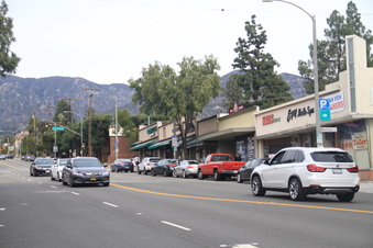 Montrose
