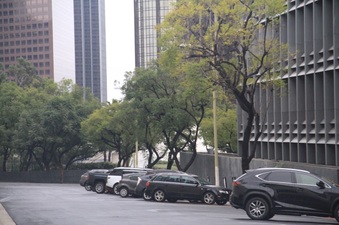 Enlarge photo 54