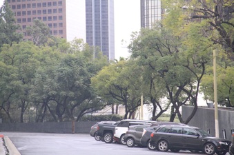 Enlarge photo 55