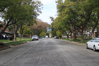 LaFrance & Huntington Dr