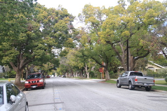 Enlarge photo 24