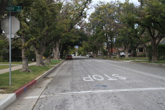 Enlarge photo 29