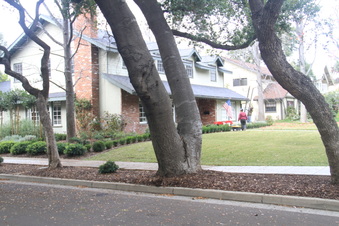 Enlarge photo 4