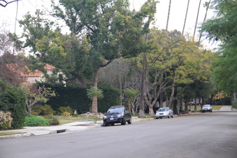 Enlarge photo 18