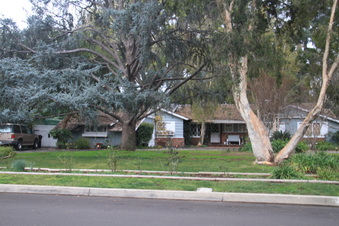 Enlarge photo 13