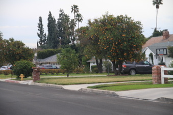 Enlarge photo 17