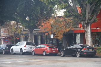 Enlarge photo 58