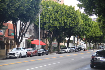 Enlarge photo 2