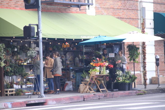 Enlarge photo 17