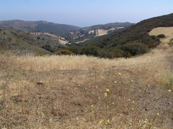 DECKER CANYOON ROAD/HWY 23