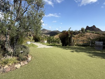 9.11.25 - SCOUT PHOTOS