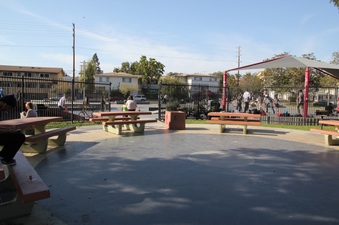 Enlarge photo 16