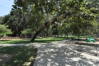 Enlarge photo 48