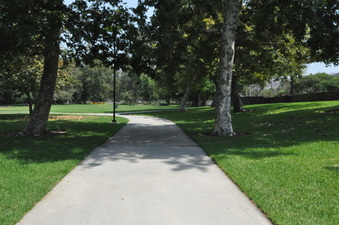 Enlarge photo 55
