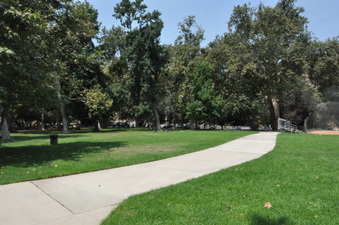 Enlarge photo 60