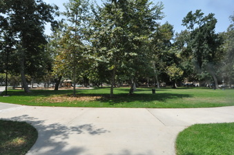 Enlarge photo 61