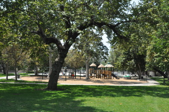 Enlarge photo 62