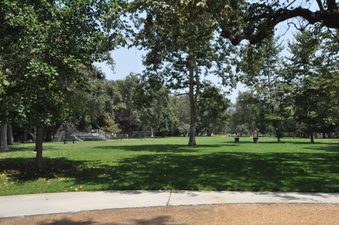 Enlarge photo 64